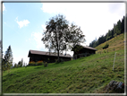 foto Da Forcella Montalon a Val Campelle